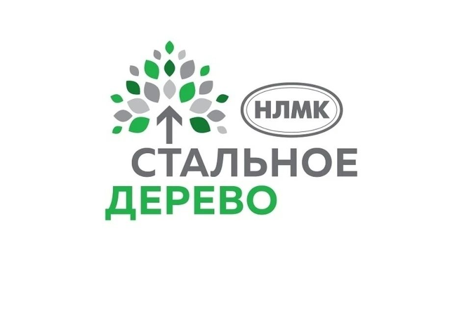 Проект «Театральная семья» — в числе победителей конкурсного отбора программы поддержки социальных инициатив «Стальное дерево»